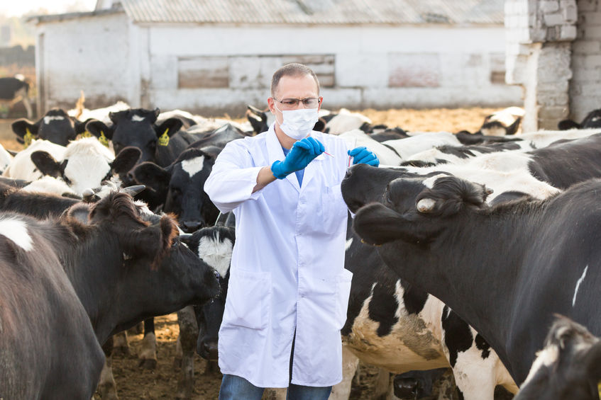 Universidades que ofrecen Veterinaria en Querétaro